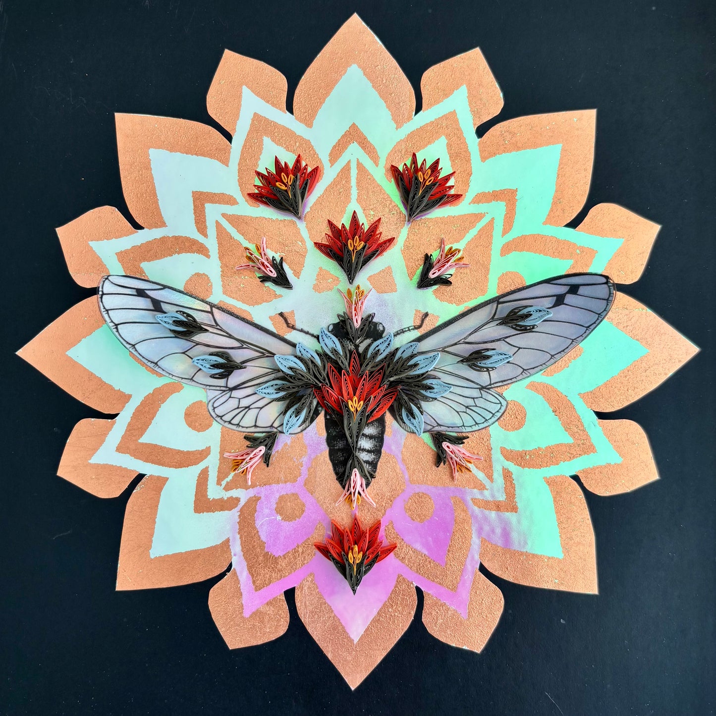 Cicada